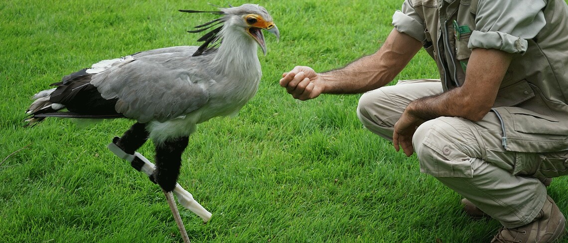 Der Sekretär Söckchen und Lars Thalmann