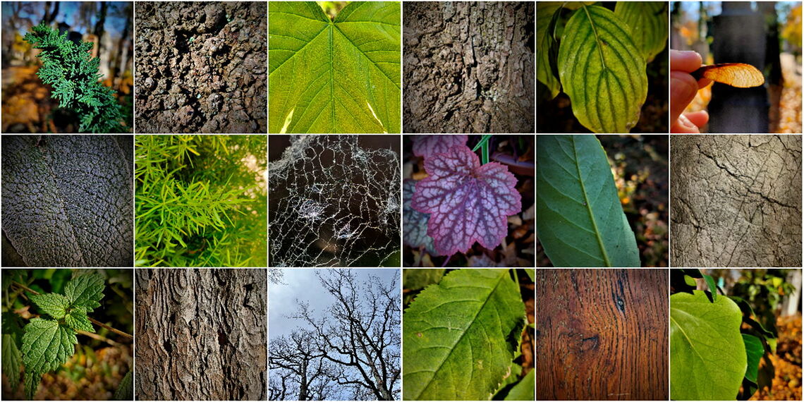 Strukturen aus der Natur