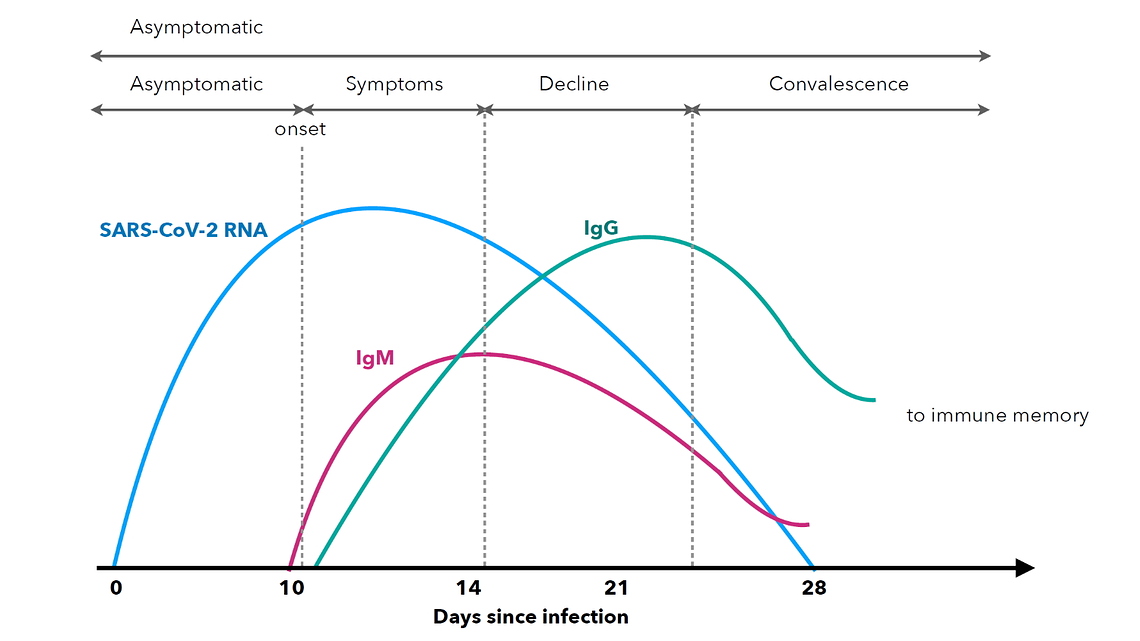 CoronatestGrafik