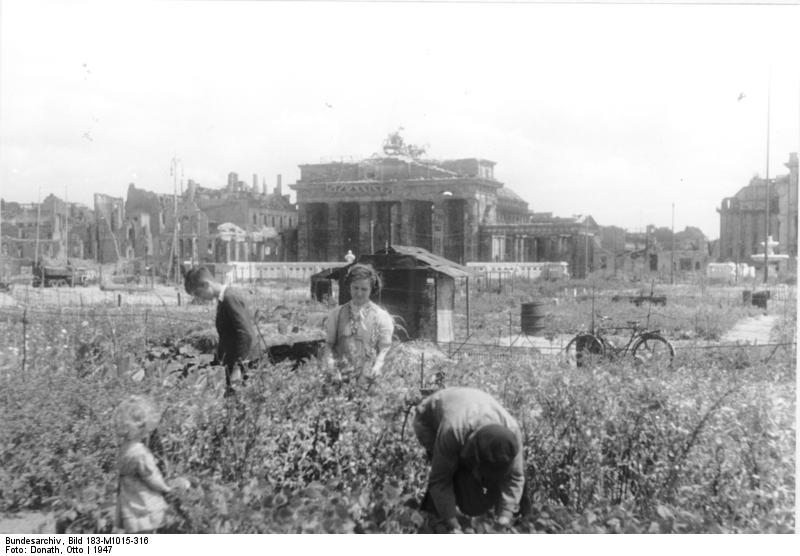 Bundesarchiv_Bild_183-M1015-316,_Berlin,_Parzellen_im_Tiergarten