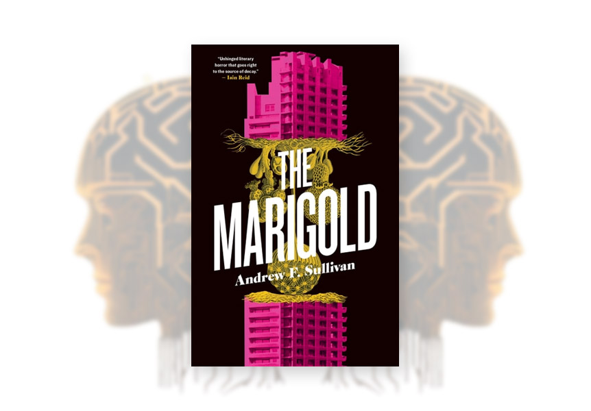 The Marigold